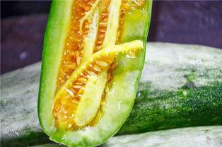 吃网红瓜公众号,吃瓜群众必看，网红瓜背后的真相大揭秘！  第3张