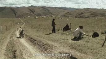 人杀藏獒视频在线观看,网络直播下的血腥一幕  第3张