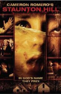 斯丹顿山 在线观看,在线揭秘神秘山巅的奇幻之旅  第1张