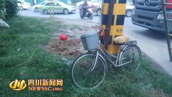 四川刘先生最新爆料,事件详情及背后真相