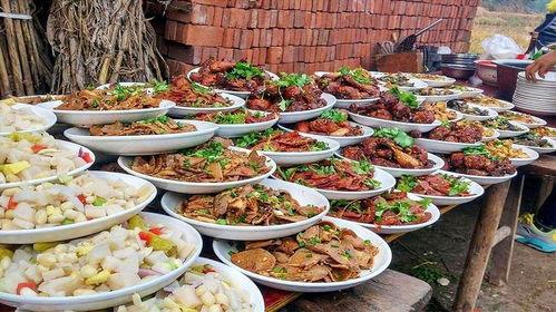 农村宴席爆料视频大全,视频大全背后的美食与文化盛宴